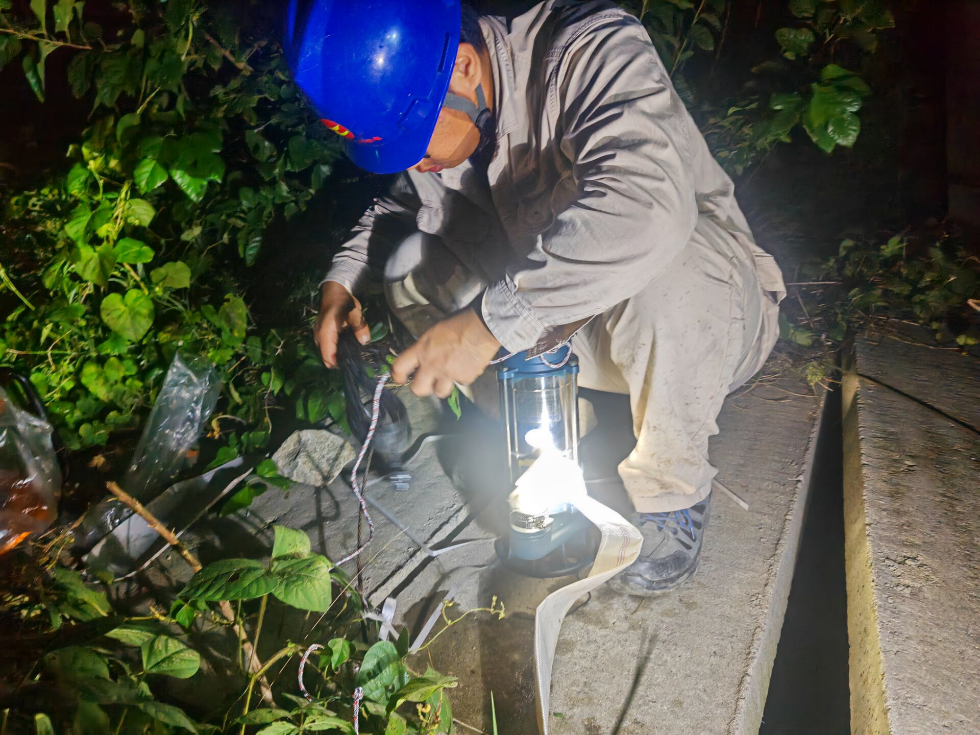 1760576568689 圖片1